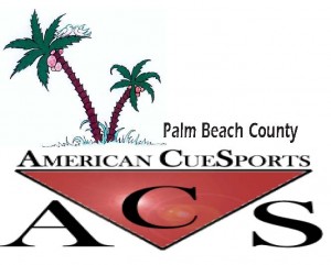 Palm Beach ACS palm tree logo